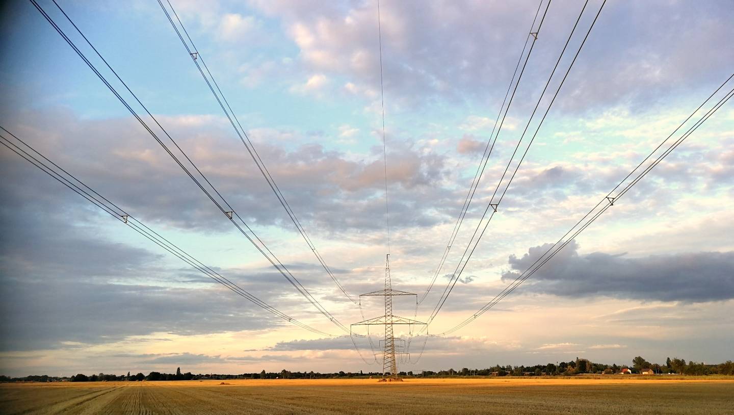 Die grüne Finanzbranche ist im Aufwind. Der Bedarf an Expert*innen mit einem breiten Spezialwissen rund um Green Energy Finance wächst. Foto: Sylke Schumann / HWR Berlin