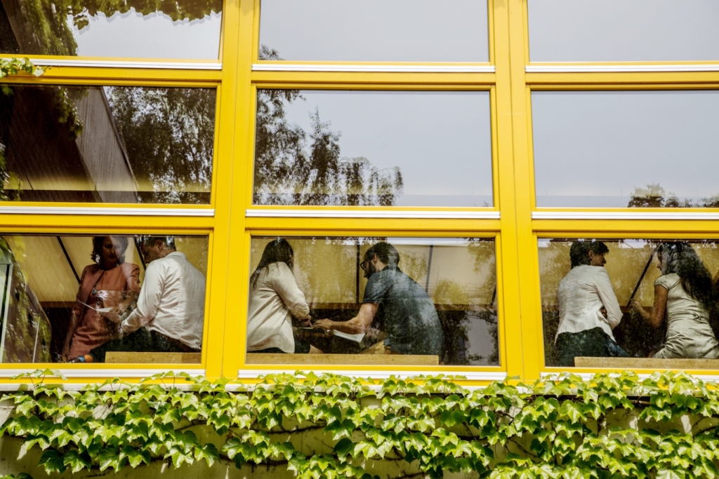 Online-Infoveranstaltung für Geflüchtete aus der Ukraine zu MBA- und Masterstudiengängen an der Berlin Professional School und Stipendien am 13. Juni 2022 von 13.30–17.00 Uhr. Foto: Katy Otto